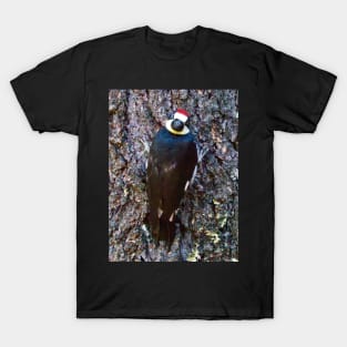 Acorn Woodpecker Looking Behind Itself T-Shirt